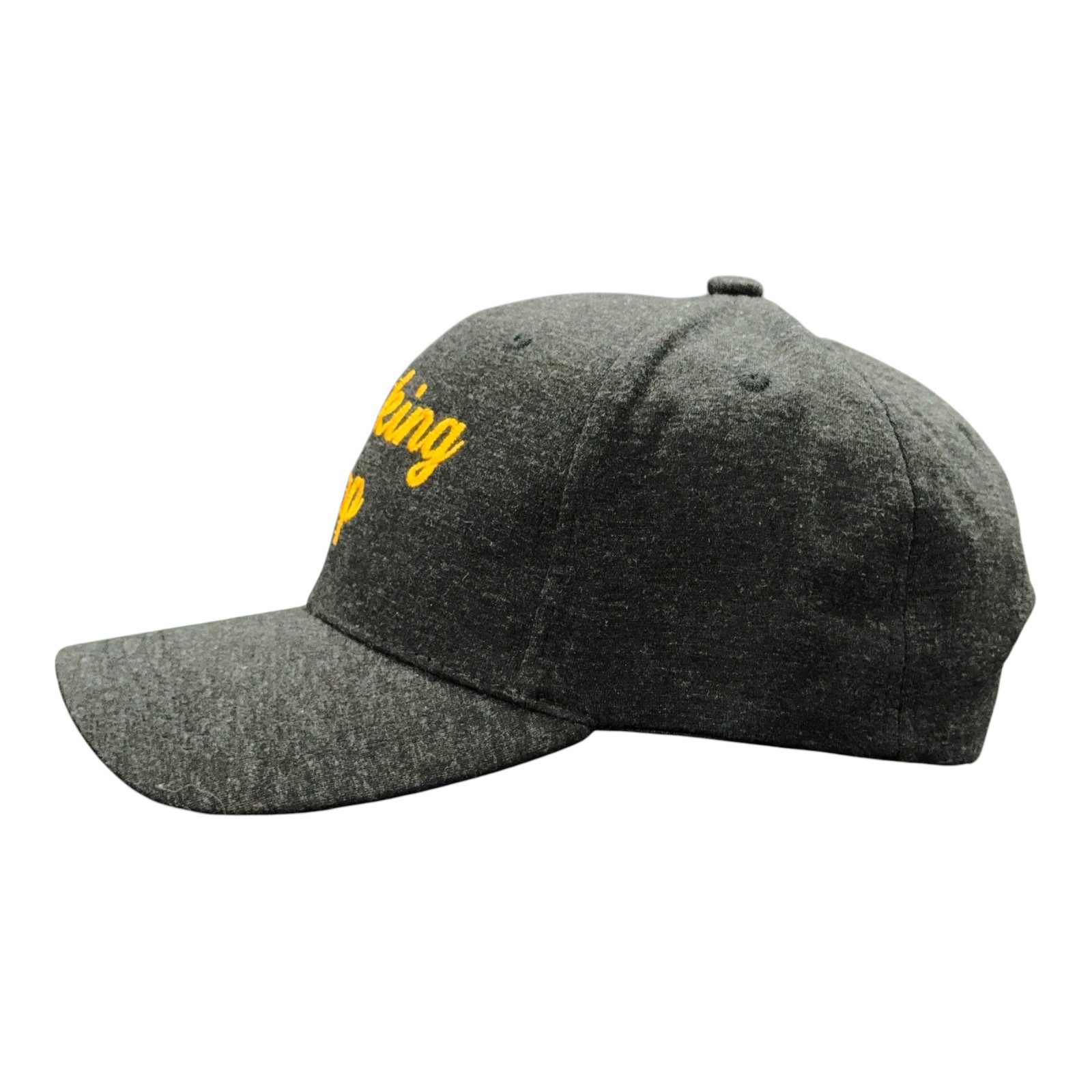 Thinking Cap Hat Funny Sarcastic Joke Baseball Cap