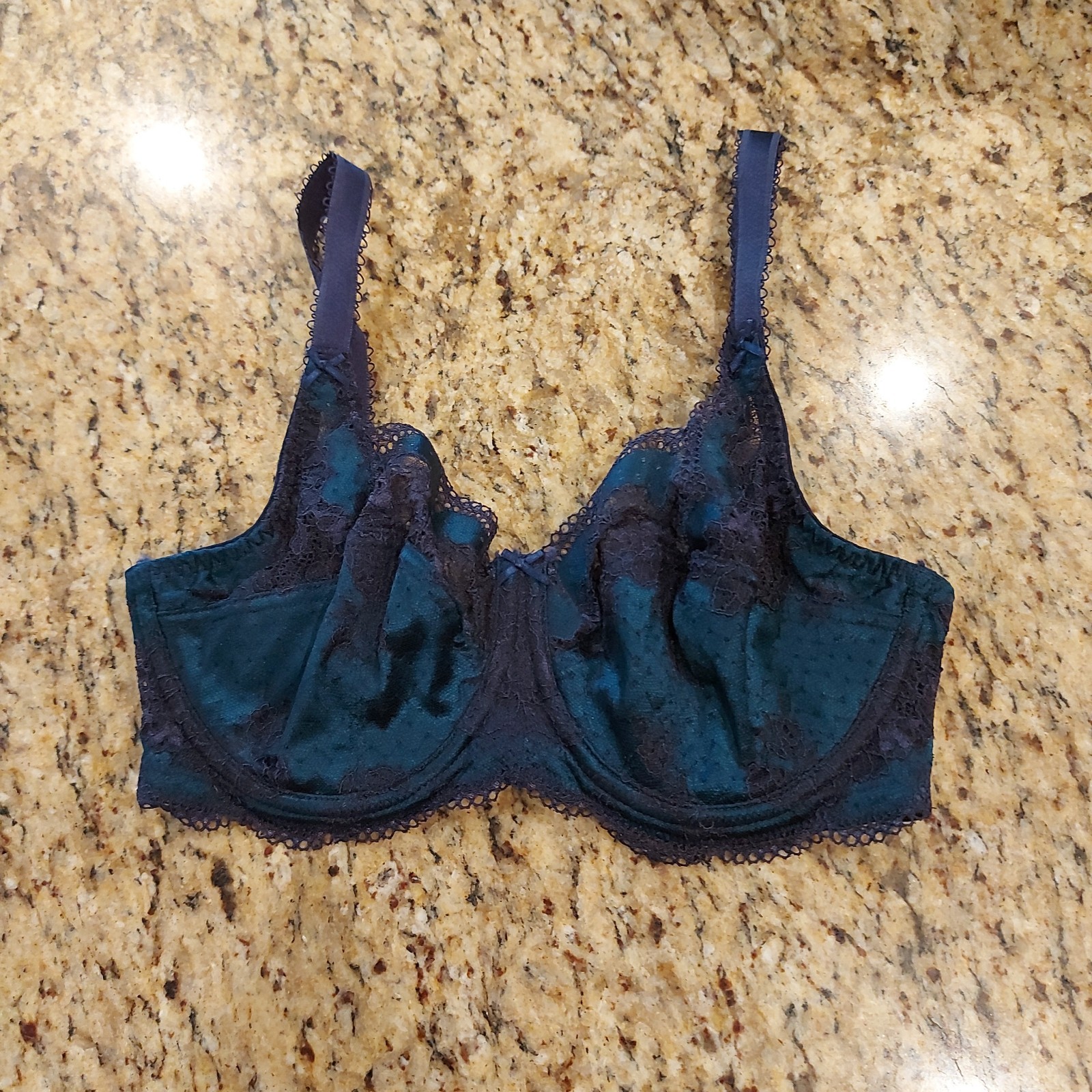 Panache Clara 7255 Full Cup Bra Size 30F NWOT UW Navy/Green Lace Unlined Sexy!!