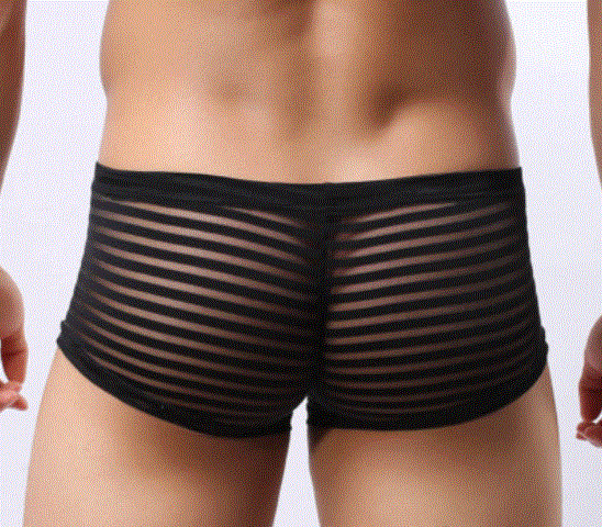 New Men’s Sexy Black Sheer Striped Hang Free Pouch Boxer Brief w/Pouch-Gay