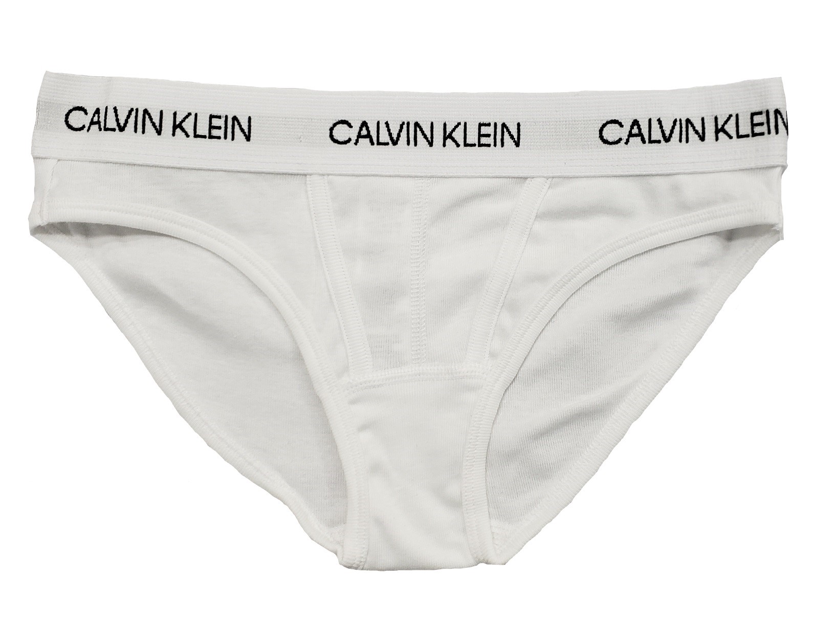 Calvin Klein Statement 1981 Limited Edition Bikini Panty – QF5252