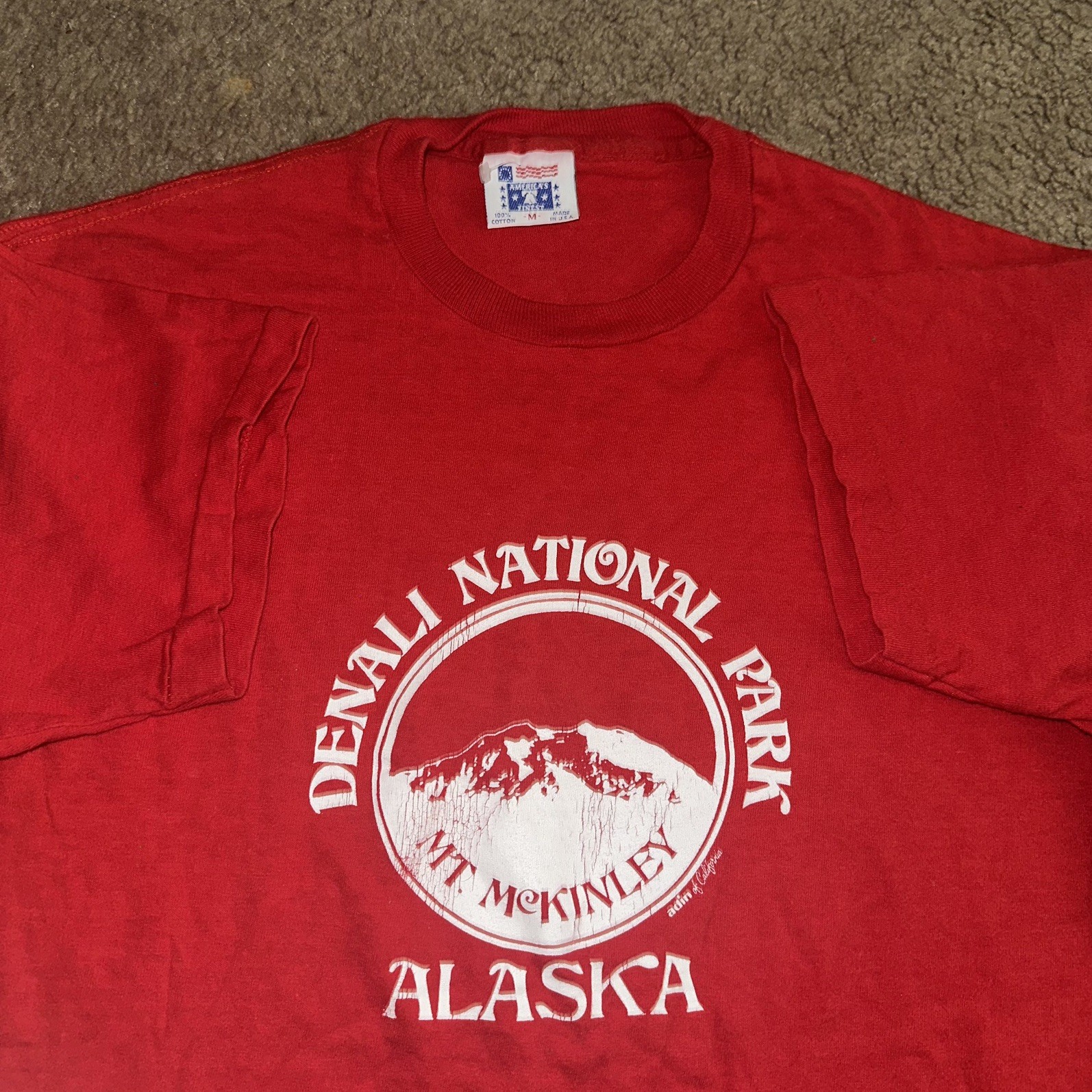80s Vintage Denali National Park Alaska T-Shirt Made in Usa Single Stitch 90s