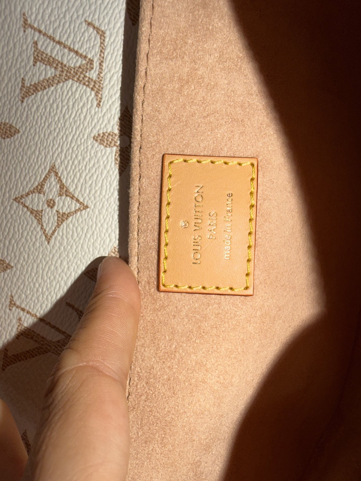 Louis Vuitton Monogram Dune Pochette Metis