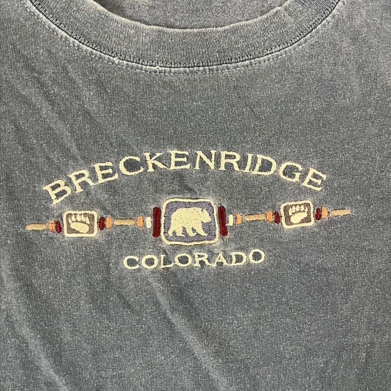 Prairie Mountain T-Shirt Mens M Blue Breckenridge Colorado Bear Embroidered Fair