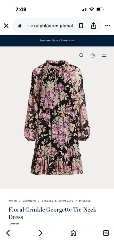 NWT Ralph Lauren Kentucky Derby Floral Georgette Long Sleeve Dress Size 4 165$