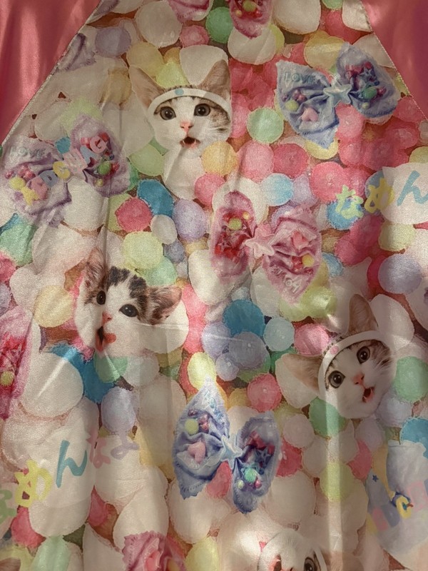 ACDC RAG x Namenna yo Harajuku Bomber Jacket Kawaii Kitten Sukajan Pink Rare gallery