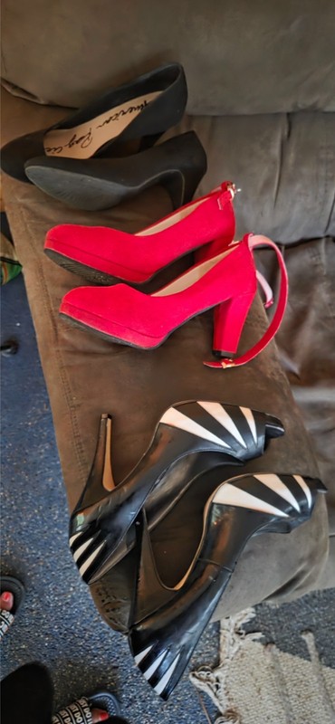womens size 8.5 Heels 3.5 inch Black and White Steve Madden Sexy Pumps