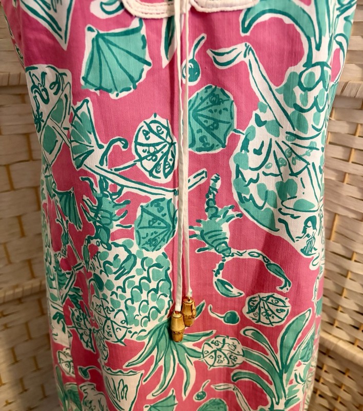 Rare Vintage Lilly Pulitzer Originals A Line Shift Lined Lace Up Corset Dress 6 gallery