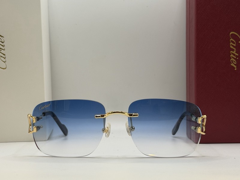 PICCADILLY Gradient Blue Men’s Gokd Sunglasses CT0330S