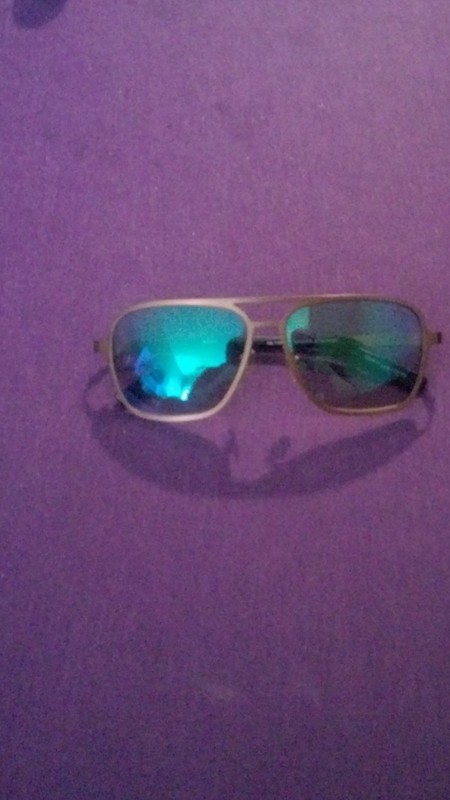 Revo mens Horizon Bronze titanium frame, Evergreen photochromic lens sunglasses