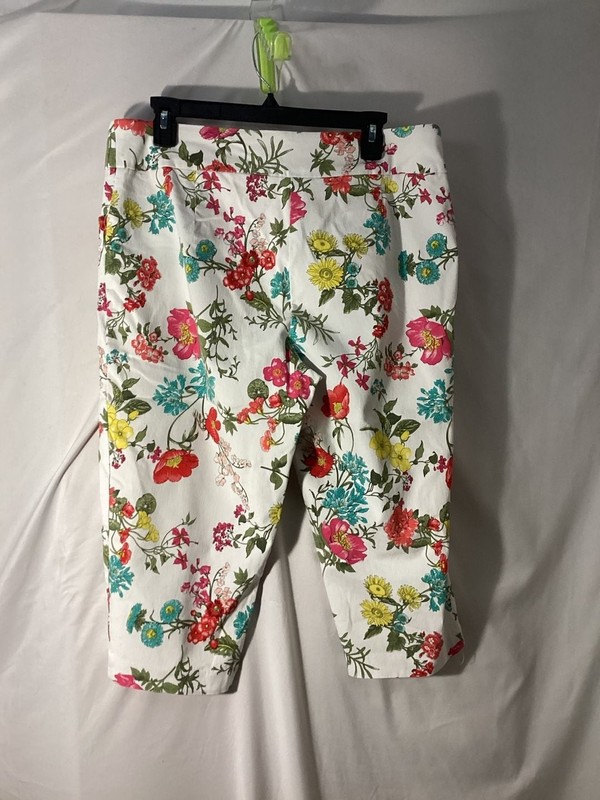 Terra & Sky Floral Print Capri Pants Size 0X (14W) gallery