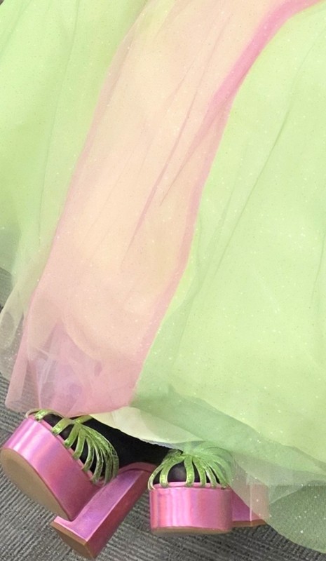 SUNLIME POSH PRECIOUS FORMALS QUINCEANERA BALLGOWN Prom Dress Pageant Gown 20664 gallery