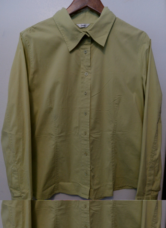 TALBOTS Green COTTON Blend Women Size PETITE Large PL Long Sleeve STRETCH Shirt