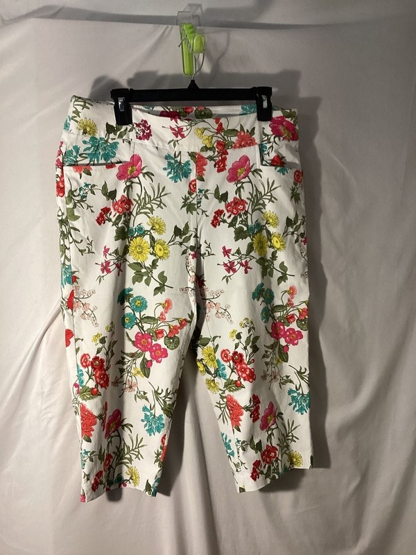Terra & Sky Floral Print Capri Pants Size 0X (14W)