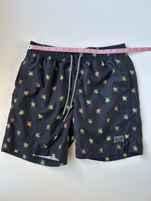 BEAUTIFUL GIANT Men’s Beach Swim Pocketed Board Shorts, Sea Turtles- Small