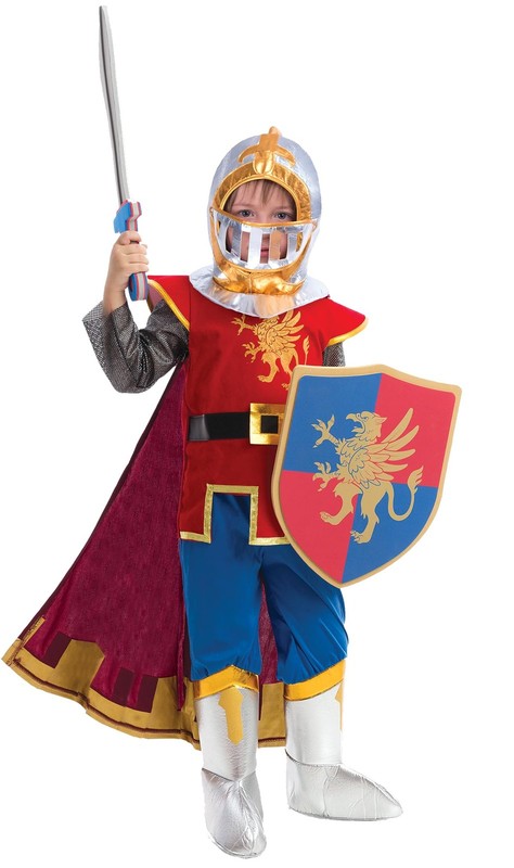 Medieval Knight Costume Set for Boys Kids, Halloween Fancy Dress for K...