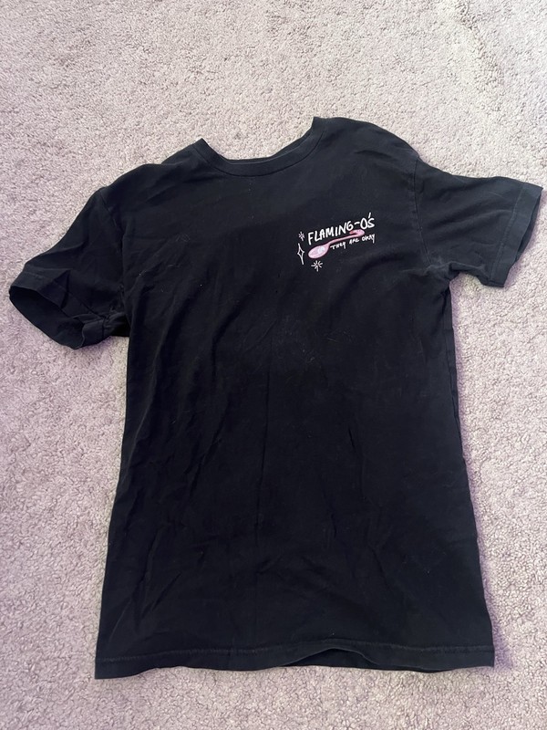Flim Flam Albert Flamingo merch black t-shirt size small