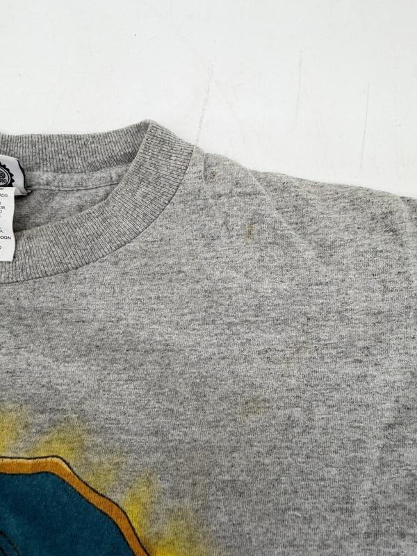 Vintage 90s POKEMON Charmander Charizard Evolution Shirt Youth Size Medium RARE gallery