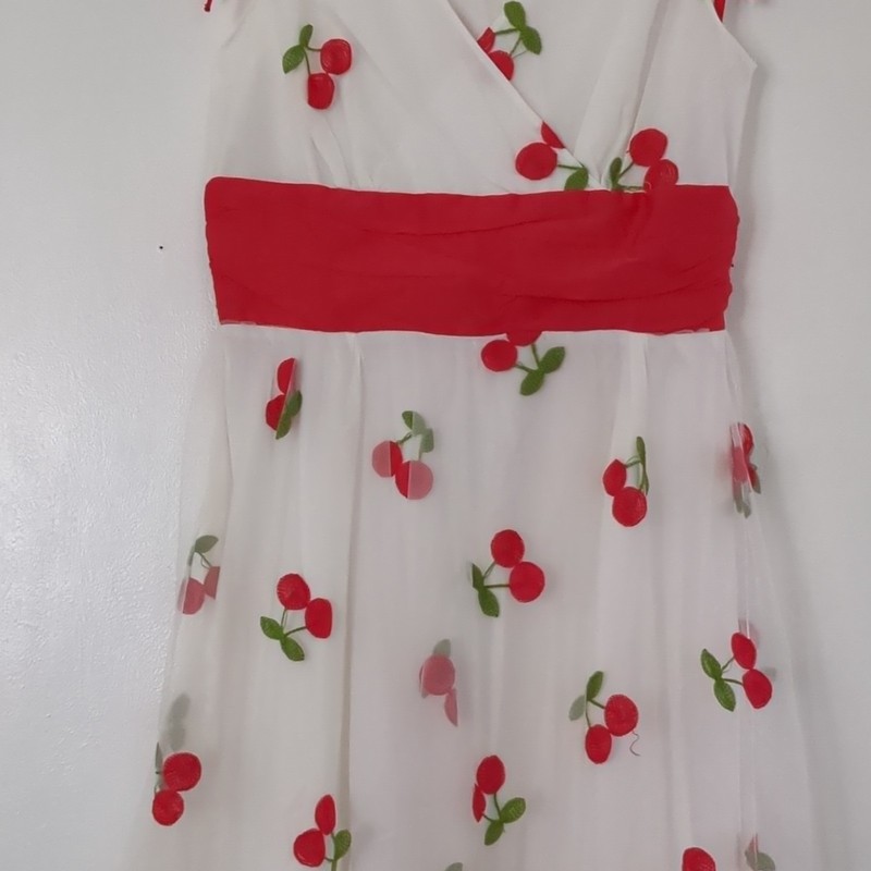 Retro-Stage Cherry Fit & Flare V-Neck Sleeveless Zip Dress Small