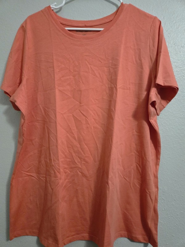 Woman Within Pink Shirt Large Short Sleeves