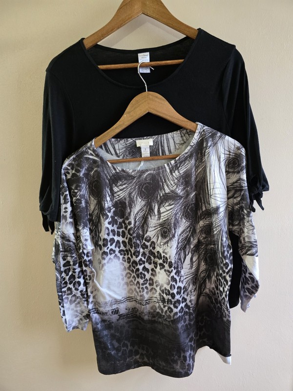 Women’s Lot Of 2 Blouses Chico Sz M Black White & West Loop Sz M Black Pre-owned