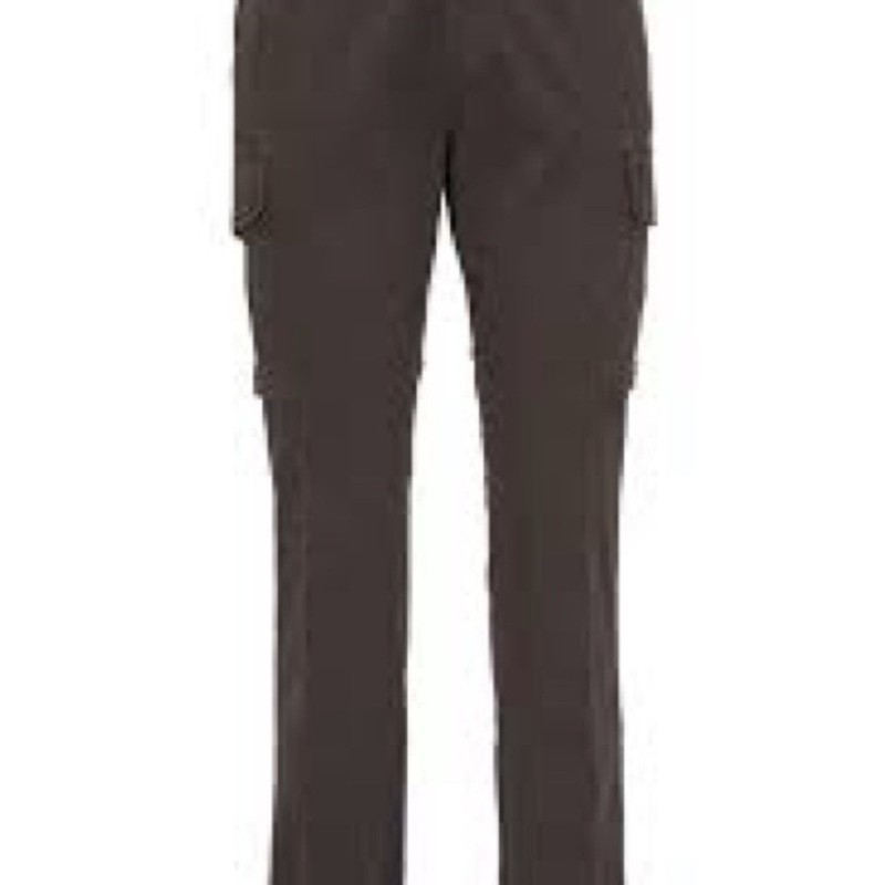 James Perse Dark Brown Cargo Pants
